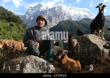 Ritratto di una capra Nepalese herder, regione di Annapurna, Nepal Foto Stock