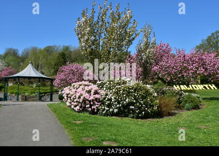 Central Park, Haworth in tarda primavera, Bronte Country Foto Stock