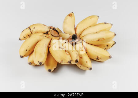 Piccole banane mature in mazzi Caraibi savoiardi giallo esotico sfondo bianco Foto Stock