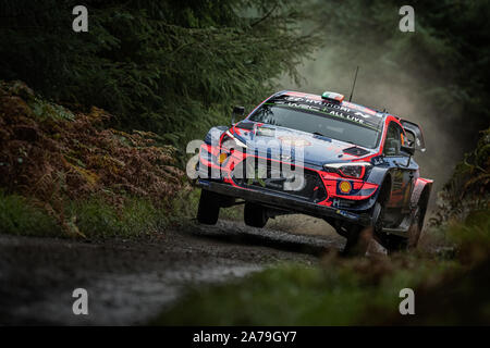 Craig Breen guida attraverso le foreste della Hyundai i20 per la Shell di Hyundai Mobis World Rally Team nel 2019 Rally Galles GB in Galles, Regno Unito Foto Stock