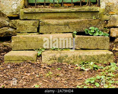 Vecchia ricoperta di gradini di pietra a Delapre Abbey giardino in stile vittoriano, Northampton, Regno Unito Foto Stock