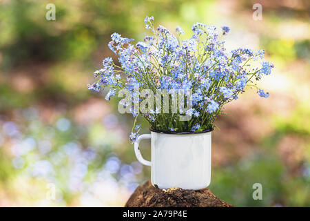 Bel bouquet di campo dimenticare-me-poveri in un metallo bianco mug su un moncone. Fiori di Primavera Foto Stock