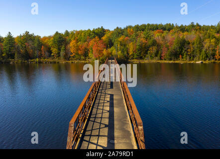 Autunno a colori ha cominciato a comparire in alberi attorno ad un simile nella Adirondacks Foto Stock