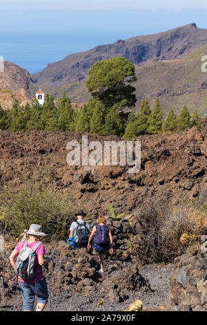 Gruppo a piedi passando da Pinus canariensis, canaria di pini nel paesaggio vulcanico vicino a Arguayo, Santiago del Teide Tenerife, Isole Canarie Foto Stock