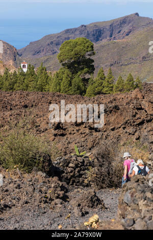 Gruppo a piedi passando da Pinus canariensis, canaria di pini nel paesaggio vulcanico vicino a Arguayo, Santiago del Teide Tenerife, Isole Canarie Foto Stock