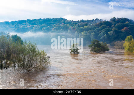 Il fangoso, limoso acque del fiume Wye in alluvione sulla 28.10.2019 a Kerne Bridge, Herefordshire UK - Le inondazioni era causato dalla pioggia pesante in Galles. Foto Stock