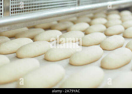 Materie il pane è rendere sull'apparecchiatura automatica di linea in panetteria. Foto Stock