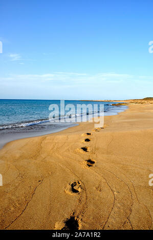 Spiaggia di sabbia, onde, camminando sulla spiaggia, orme nella sabbia. Foto Stock