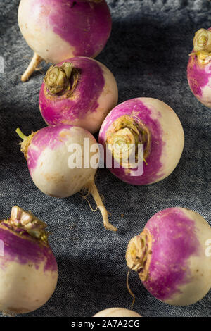 Materie organiche rape viola pronto a mangiare Foto Stock