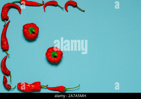 Secchi peperoncino rosso giacciono su un multi-colore di sfondo Foto Stock