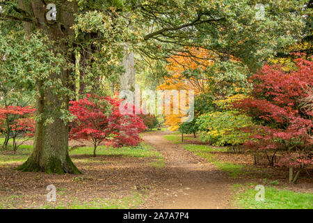 Harcourt Arboretum (Università di Oxford nel Regno Unito. Foto Stock