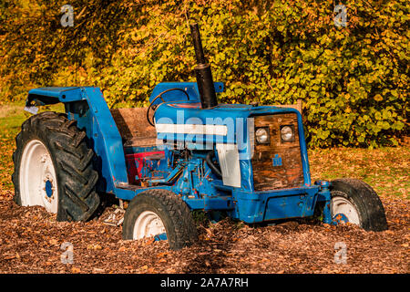 Harcourt Arboretum (Oxford University) REGNO UNITO. Foto Stock