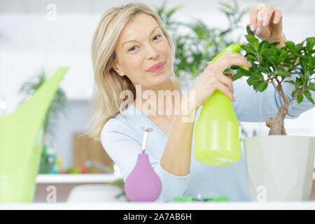 Donna spruzza acqua su albero di bonsai e sorrisi Foto Stock
