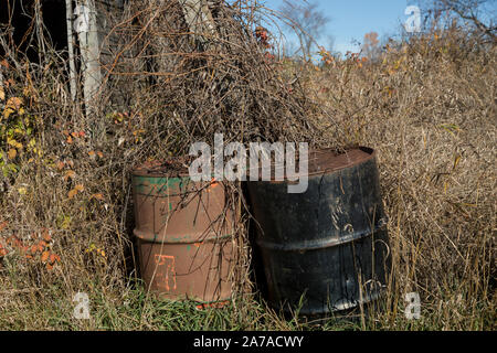 Rusty macchinari in erbacce in agriturismo giornata soleggiata tamworth ontario Foto Stock