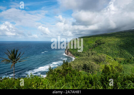 Valle di Pololu litorale in estate Foto Stock