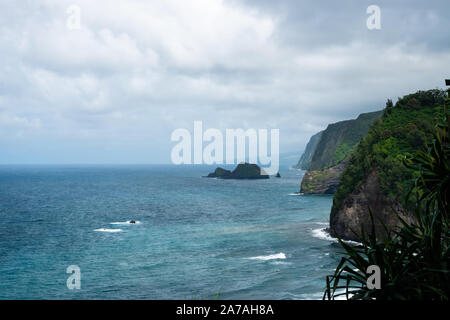 Valle di Pololu litorale in estate Foto Stock