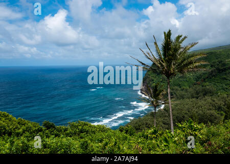 Valle di Pololu litorale in estate Foto Stock