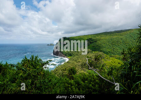 Valle di Pololu litorale in estate Foto Stock