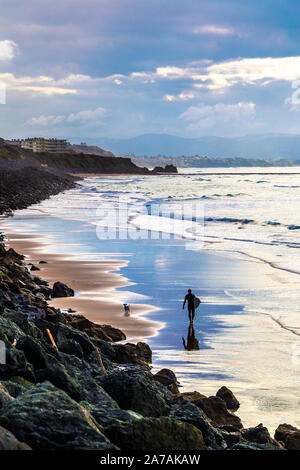 Surfer a piedi con una tavola da surf e cane lungo al tramonto la Côte des Basques beach surf a Biarritz, Francia