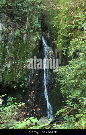 La spina dorsale cade nel Cherokee National Forest in Tennessee, USA Foto Stock