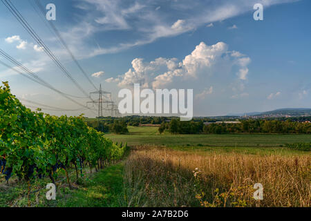 Le linee di alimentazione su verdi campi e vigne vicino a Wiesloch in Germania in una giornata di sole in tarda estate Foto Stock