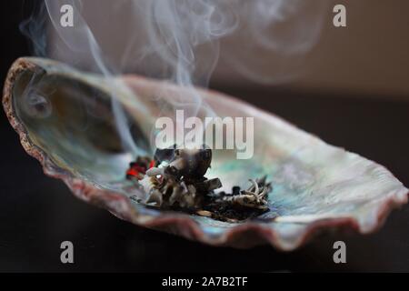 Bianco salvia cerimoniali a bruciare in un guscio di abalone. Foto Stock