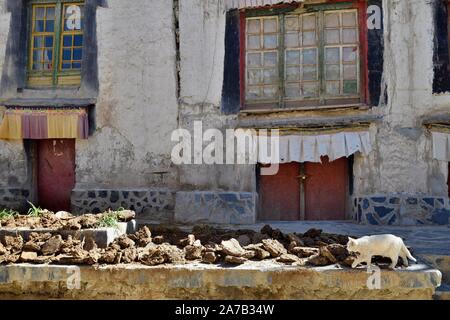 In una vecchia città Gyantse è in Gyantse County in Shigatse Prefecturein regione autonoma del Tibet, Cina. Foto Stock