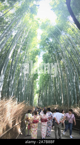 Una vista della parte posteriore di un gruppo di donne che indossano kimono nella foresta di bamboo in Ukyo-Ku, Kyoto-Shi - Sagaogurayama Tabuchiyamacho, Giappone Foto Stock