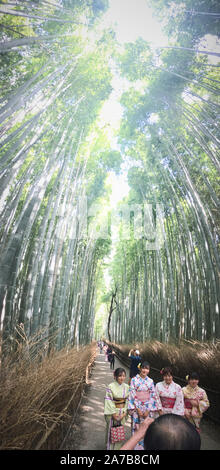 Una vista della parte posteriore di un gruppo di donne che indossano kimono nella foresta di bamboo in Ukyo-Ku, Kyoto-Shi - Sagaogurayama Tabuchiyamacho, Giappone Foto Stock