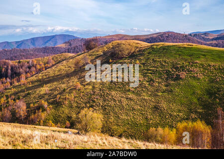 Le montagne nella stagione autunnale, area Paltinis, contea di Sibiu, Romania Foto Stock