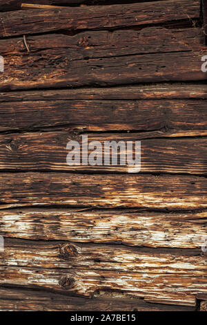 Termiti mangiare vecchia e decadente doghe in legno Foto Stock