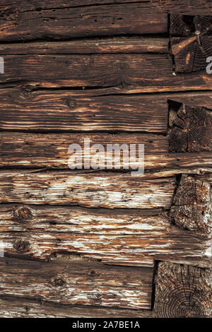 Termiti mangiare vecchia e decadente doghe in legno Foto Stock