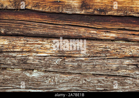 Termiti mangiare vecchia e decadente doghe in legno Foto Stock