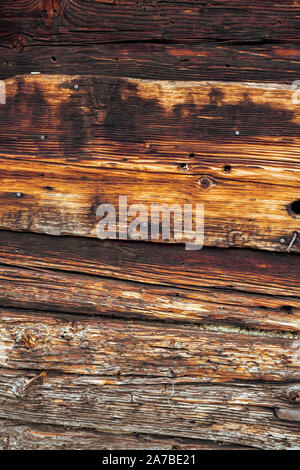 Termiti mangiare vecchia e decadente doghe in legno Foto Stock