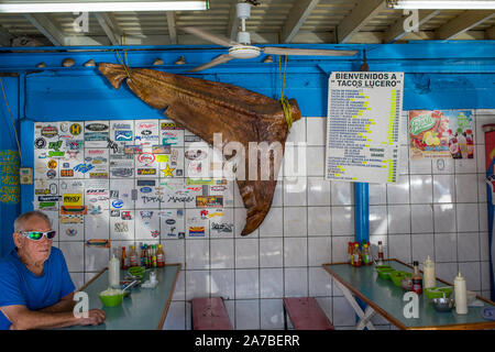 La pinna caudale dei mondi più grande pesce, un squalo balena, Rhiniodon typus, appeso in un taco stand a Ensenada, in Messico. Foto Stock