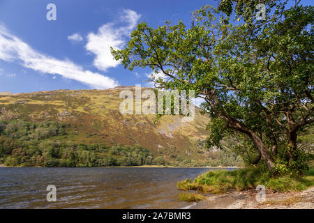 Llyn Gwynant in Snowdonia, il Galles del Nord su una soleggiata giornata estiva Foto Stock
