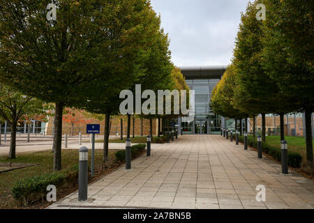 Un viale alberato all'interno di comunicazioni del governo sede, comunemente noto come GCHQ, a Cheltenham, di intelligence e di sicurezza organizzazione responsabile per fornire segnali di intelligence e information assurance per il governo e le forze armate del Regno Unito. Foto Stock