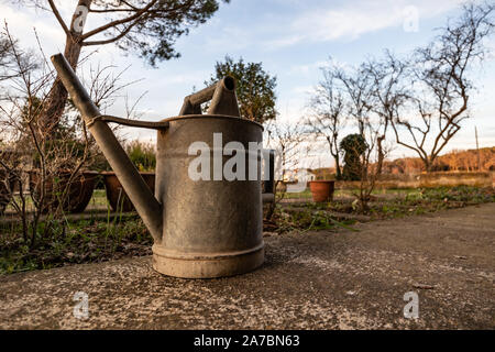 Metallo vecchio annaffiatoio su un giardino abbandonato Foto Stock