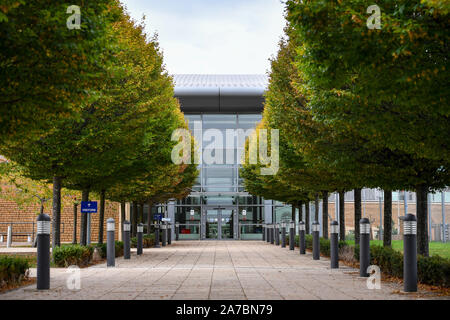 Un viale alberato all'interno di comunicazioni del governo sede, comunemente noto come GCHQ, di intelligence e di sicurezza organizzazione responsabile per fornire segnali di intelligence e information assurance per il governo e le forze armate del Regno Unito, basata a Cheltenham. Foto Stock