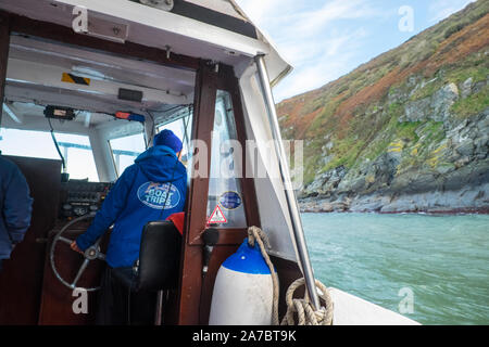 Osservazione dei delfini,barca,Cardigan Bay,NewQuay,New Quay,Newquay,a,popolare,pesca costiera,,village,città,popolare,per,barca,escursioni,West Wales,Galles,Welsh,UK,GB Foto Stock