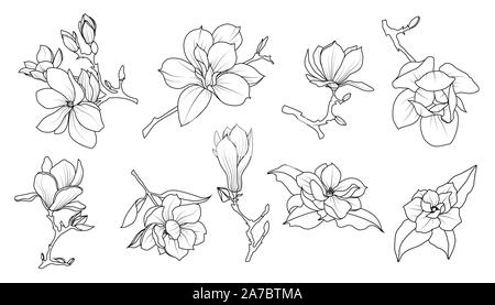 Fiori di Magnolia line art set. Tattoo Design. Decorative piante flowering. Illustrazione Vettoriale Illustrazione Vettoriale