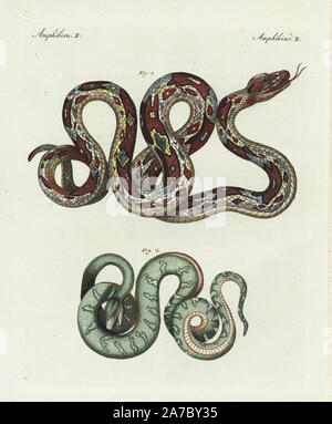 Boa constrictor e emerald tree boa, Corallus canina. Handcolored incisione su rame da Bertuch 'Bilderbuch fur Kinder' (Picture Book per bambini), Weimar, 1798. Friedrich Johann Bertuch (1747-1822) era un editore tedesco e l uomo delle arti più famoso per il suo 12-volume enciclopedia per bambini illustrato con 1.200 lastre incise sulla storia naturale, della scienza, costume, mitologia, ecc, pubblicato da 1790-1830. Foto Stock