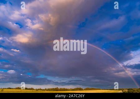 Rainbow Sky arco su un drammatico cielo tempestoso oltre i campi gialli. Una magica colorata naturale fenomeno ottico che piaceri. Nuvole retroilluminato in viola un Foto Stock