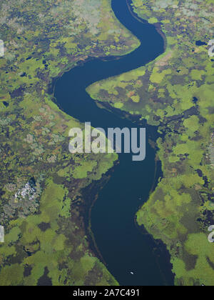 VISTA AEREA. Lago Skadar vicino alla foce di Fiume Crnojevića. Grandi campi di ninfee danno al lago l'aspetto di un fiume. Montenegro. Foto Stock