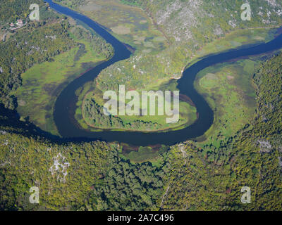 VISTA AEREA. Lago Skadar vicino alla foce di Fiume Crnojevića. Grandi campi di ninfee danno al lago l'aspetto di un fiume. Montenegro. Foto Stock