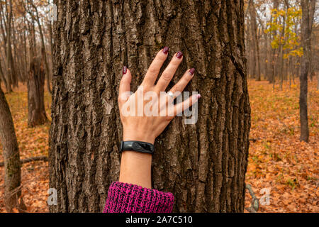 Donna mano sul tronco di albero. Concetto di salvare ambiente o unità con la natura. Primo piano immagine di Palm toccando corteccia. Ecologia e uno stile di vita attivo Foto Stock