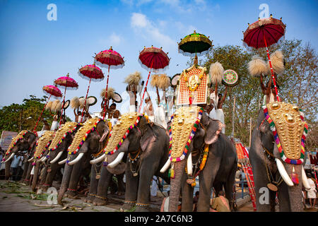 Thirunakkara,Kottayam Kerala, India il 23 marzo , 2009:decorate elefanti in piedi per la parata del festival nel tempio Thirunakkara per la tradizione Foto Stock