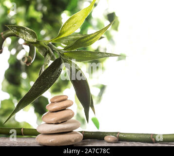 Grean foglie di bambù su bianco zen piramide di pietre su sfondo bianco Foto Stock