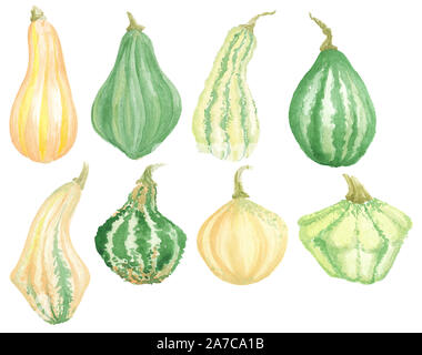 Acquerello disegnato a mano set di zucca verde e giallo autunno mature stagione di raccolto o ringraziamento clipart, raccolta di dipinti di verdure isolati su wh Foto Stock