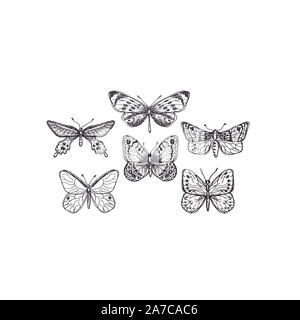 Collezione di farfalle e falene mano bozzetto stile silhouette nera isolati su sfondo bianco, illustrazione naturalistica in stile vintage. Foto Stock